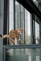 Kunststof Kozijnen klussen