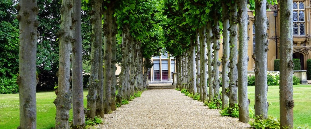 De voordelen van padverlichting