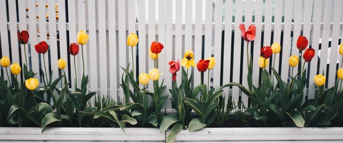 Een overzicht van de diverse schuttingen