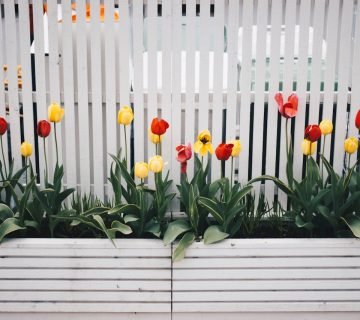 Een overzicht van de diverse schuttingen