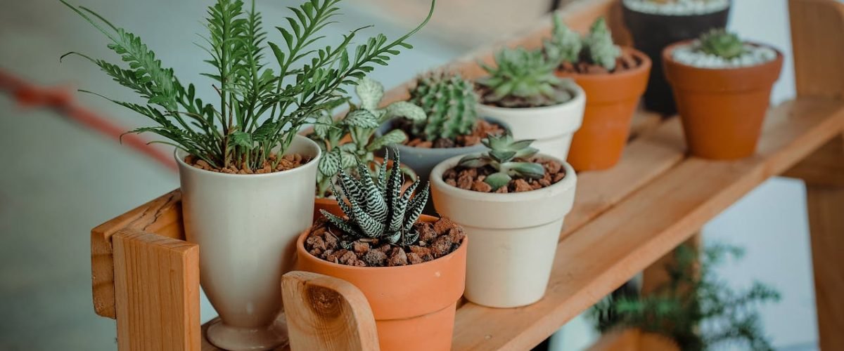 HPS of LED kweeklamp