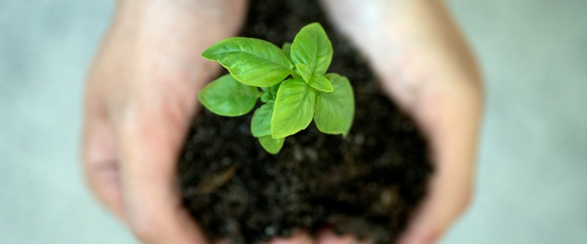 Samen verduurzamen in Eindhoven