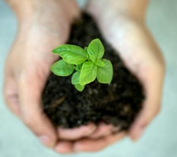 Samen verduurzamen in Eindhoven
