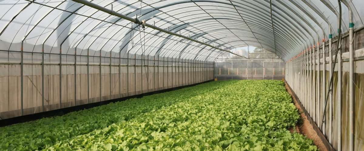 Wat wordt bedoeld met de tuinkas witten