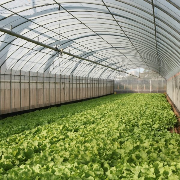 Wat wordt bedoeld met de tuinkas witten